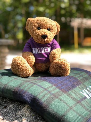 A teddy bear seated on a blanket