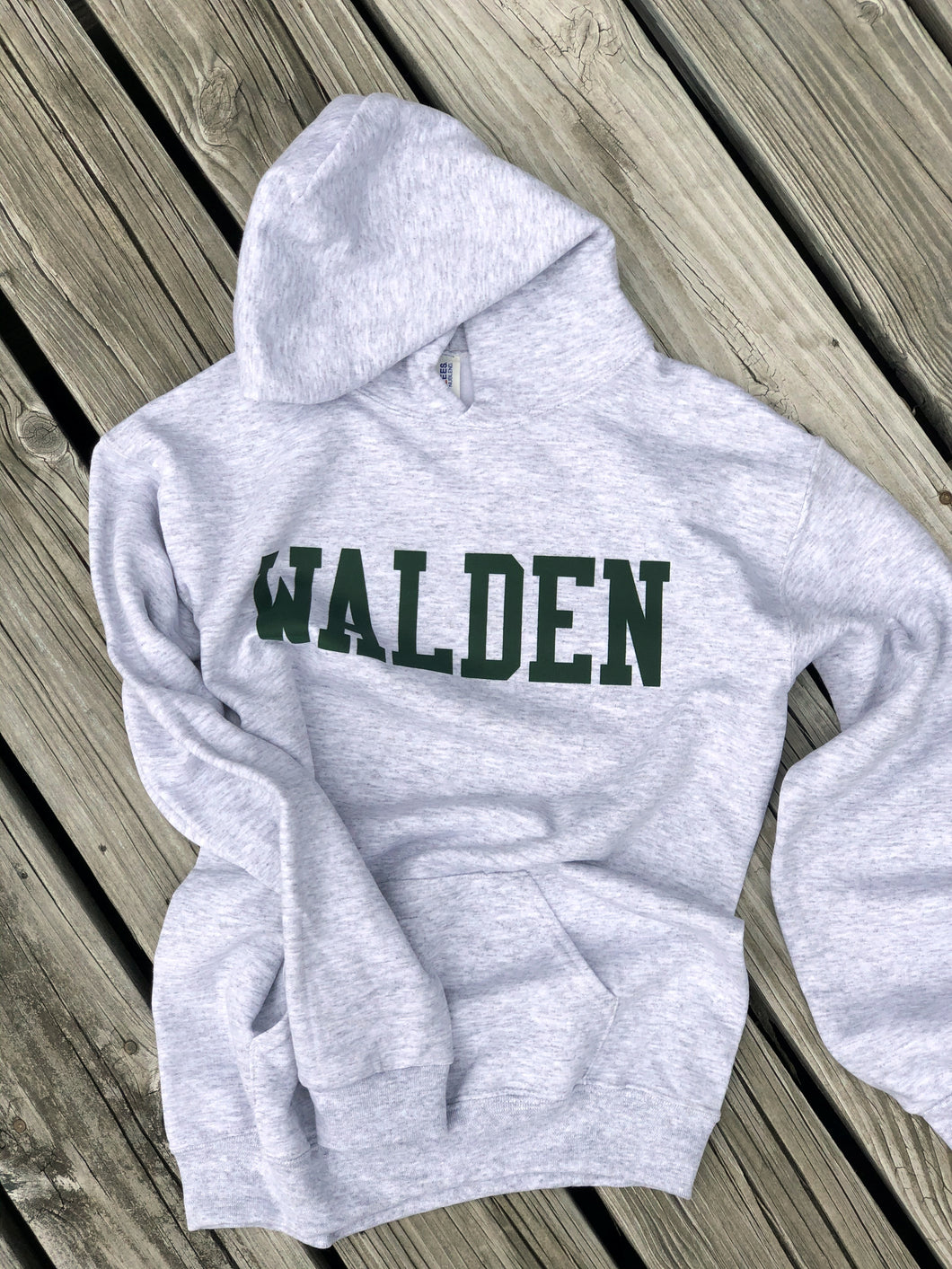 Classic Lettering Walden Hoodie _ Youth